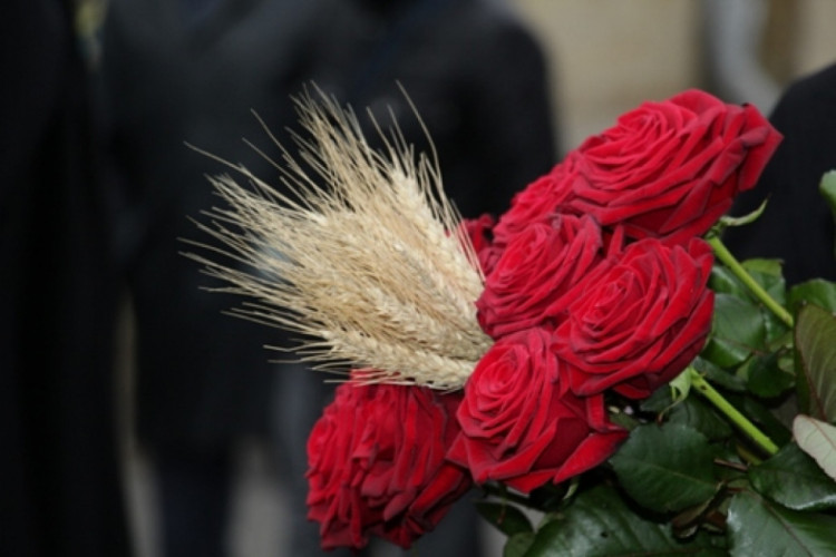Ілюстративне фото, квіти й колоски, як символ вшанування жертв Голодоморів