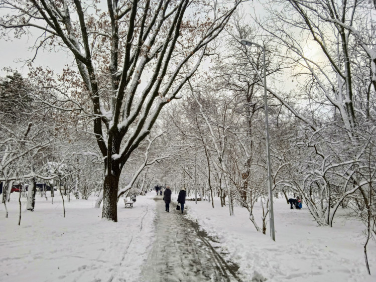 В Одесі випав сніг