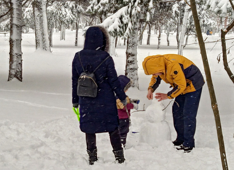 Сім"я ліпить сніговика в парку ОДА