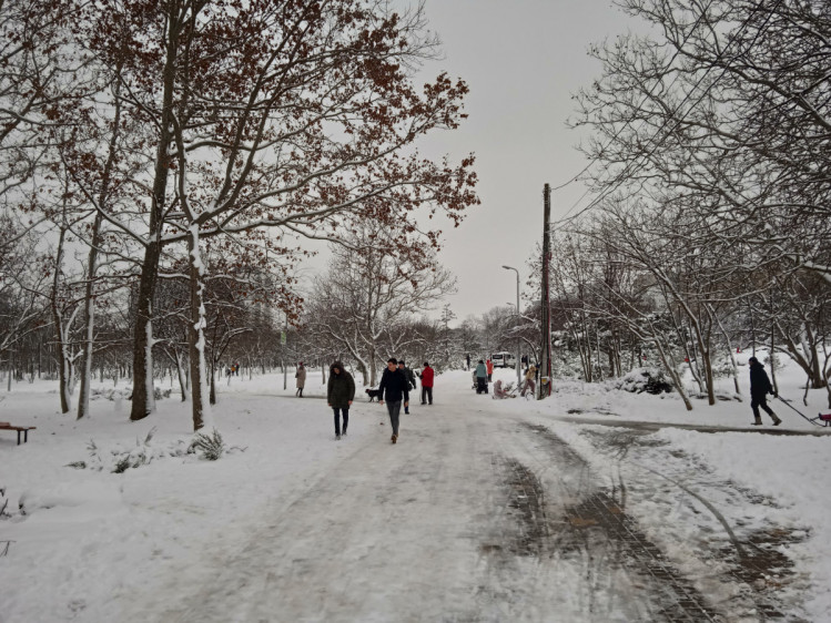 Одеська зима в парку перемоги