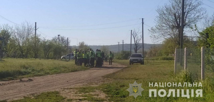 Пошуки Аліни Витичак