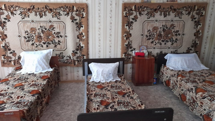 Великорибальський психоневрологічний будинок інтернат Одеської області
