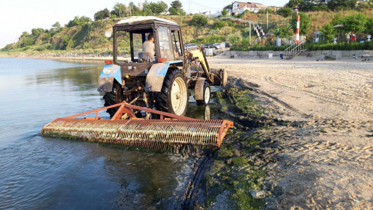  Еколог показав жахливий стан пляжів в Одесі 