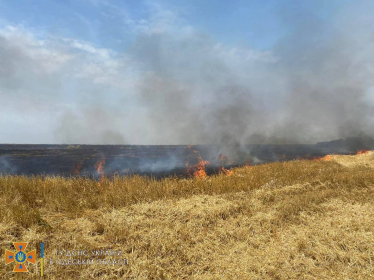 Рятувальники загасили дві пожежі у полях на Одещині 