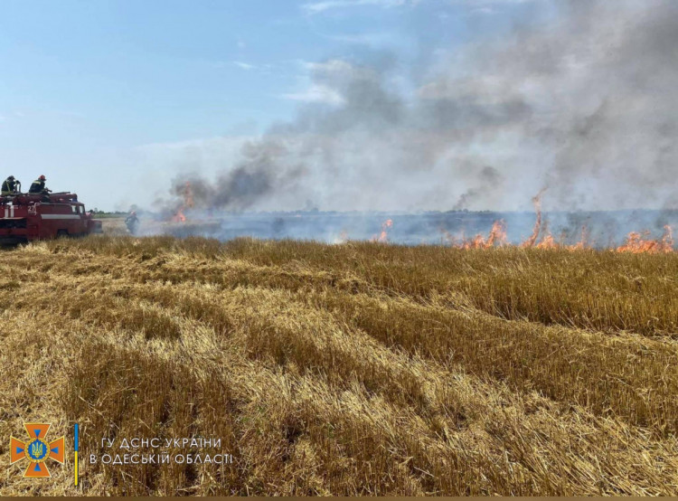 Рятувальники загасили дві пожежі у полях на Одещині 