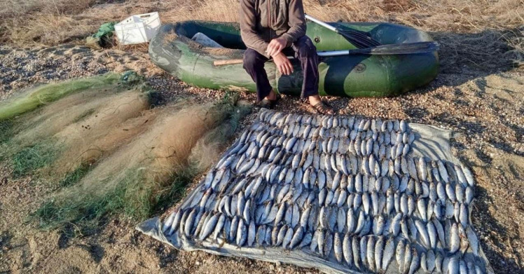 Пограничники и полиция наловили браконьеров в Одесской области