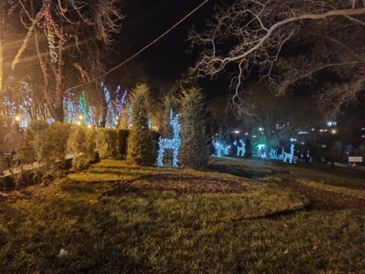 Стамбульский парк